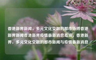 香港新界新闻，多元文化交融的都市脉搏香港新界新闻香港新界疫情最新消息毒液，香港新界，多元文化交融的都市新闻与疫情最新消息，香港新界，多元文化交融与疫情最新消息的都市脉搏