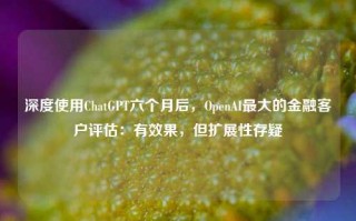 深度使用ChatGPT六个月后，OpenAI最大的金融客户评估：有效果，但扩展性存疑