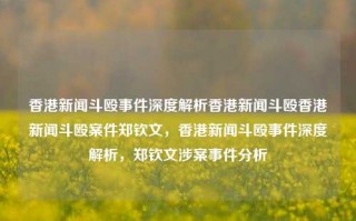 香港新闻斗殴事件深度解析香港新闻斗殴香港新闻斗殴案件郑钦文，香港新闻斗殴事件深度解析，郑钦文涉案事件分析，香港新闻斗殴事件深度解析，郑钦文涉案事件分析