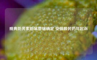 观典防务索赔案管辖确定 受损股民仍可起诉