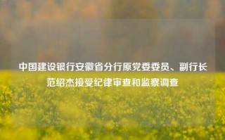 中国建设银行安徽省分行原党委委员、副行长范绍杰接受纪律审查和监察调查