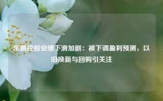 东鹏控股业绩下滑加剧：被下调盈利预测，以旧换新与回购引关注