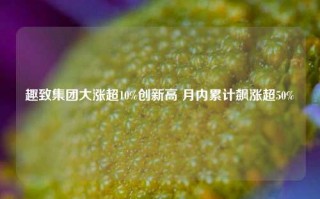 趣致集团大涨超10%创新高 月内累计飙涨超50%