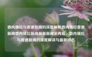 委内瑞拉与香港新闻的深度解析委内瑞拉香港新闻委内瑞拉新闻最新新闻宋再临，委内瑞拉与香港新闻的深度解读与最新动态，委内瑞拉与香港新闻的深度解读与最新动态分析