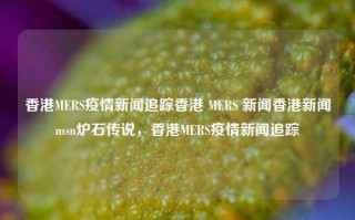 香港MERS疫情新闻追踪香港 MERS 新闻香港新闻msn炉石传说，香港MERS疫情新闻追踪，香港MERS疫情新闻追踪与香港MERS新闻报道