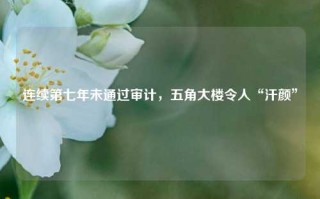 连续第七年未通过审计，五角大楼令人“汗颜”