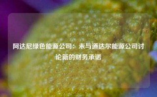 阿达尼绿色能源公司：未与道达尔能源公司讨论新的财务承诺