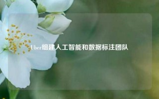 Uber组建人工智能和数据标注团队