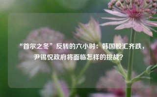 “首尔之冬”反转的六小时：韩国股汇齐跌，尹锡悦政府将面临怎样的挑战？