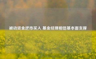 被动资金逆市买入 基金经理相信基本面支撑