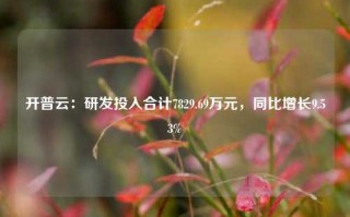 开普云：研发投入合计7829.69万元，同比增长9.53%