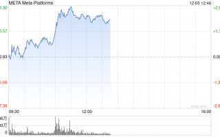 Meta称其APP上与选举相关的AI生成错误信息占比不到1%