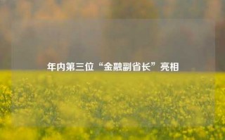 年内第三位“金融副省长”亮相