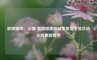 欧洲债市：法国-德国国债收益率差在不信任动议投票前收窄