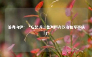 哈梅内伊：“应起诉以色列所有政治和军事头目”