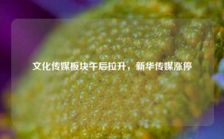 文化传媒板块午后拉升，新华传媒涨停