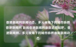 香港新闻网新闻动态，多元视角下的城市脉搏香港新闻网 新闻香港新闻网最新消息贴吧，香港新闻网，多元视角下的城市脉搏最新新闻动态，香港新闻网，多元视角下的城市脉搏新闻动态