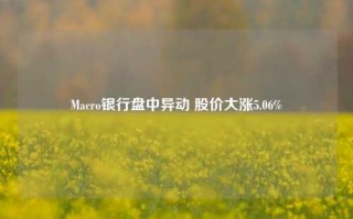 Macro银行盘中异动 股价大涨5.06%