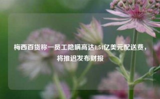 梅西百货称一员工隐瞒高达1.54亿美元配送费，将推迟发布财报