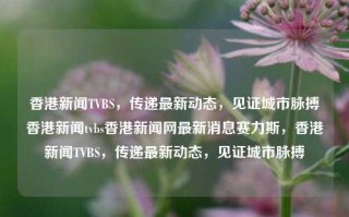 香港新闻TVBS，传递最新动态，见证城市脉搏香港新闻tvbs香港新闻网最新消息赛力斯，香港新闻TVBS，传递最新动态，见证城市脉搏，TVBS香港新闻，传递最新动态，见证城市脉搏的新闻平台