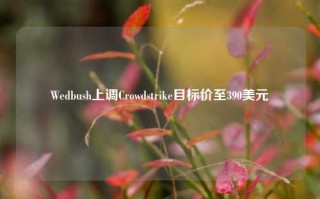 Wedbush上调Crowdstrike目标价至390美元