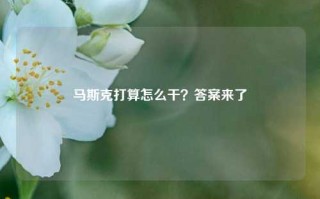 马斯克打算怎么干？答案来了