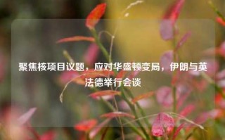 聚焦核项目议题，应对华盛顿变局，伊朗与英法德举行会谈