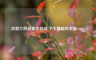 坎伯兰药业盘中异动 下午盘股价大涨5.66%