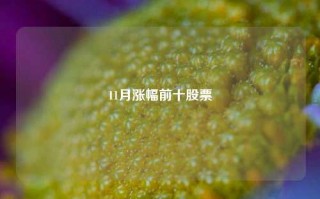 11月涨幅前十股票