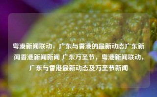 粤港新闻联动，广东与香港的最新动态广东新闻香港新闻新闻 广东万圣节，粤港新闻联动，广东与香港最新动态及万圣节新闻，粤港新闻联动，广东与香港最新动态及万圣节新闻快报