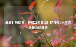 最新！特朗普，将成立调查组！以寻找2020年大选舞弊的证据