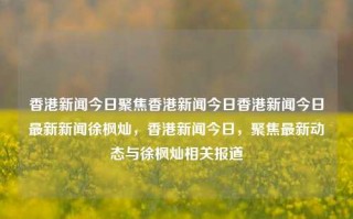 香港新闻今日聚焦香港新闻今日香港新闻今日最新新闻徐枫灿，香港新闻今日，聚焦最新动态与徐枫灿相关报道，香港新闻聚焦，徐枫灿相关报道及最新动态