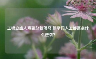 工银安盛人寿副总裁落马 新掌门人王都富拿什么逆袭？