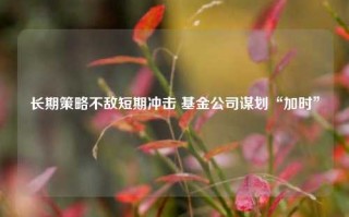 长期策略不敌短期冲击 基金公司谋划“加时”