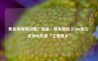 黄金将继续闪耀！高盛：明年将站上3000美元 全球央妈是“主要推手”