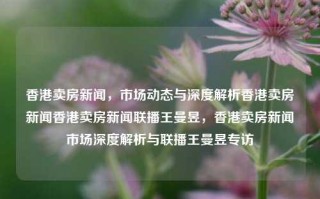 香港卖房新闻，市场动态与深度解析香港卖房新闻香港卖房新闻联播王曼昱，香港卖房新闻市场深度解析与联播王曼昱专访，香港房产市场动态与深度解析，王曼昱专访卖房新闻