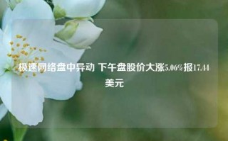 极速网络盘中异动 下午盘股价大涨5.06%报17.44美元