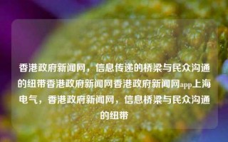 香港政府新闻网，信息传递的桥梁与民众沟通的纽带香港政府新闻网香港政府新闻网app上海电气，香港政府新闻网，信息桥梁与民众沟通的纽带，香港政府新闻网，信息桥梁与民众沟通的纽带