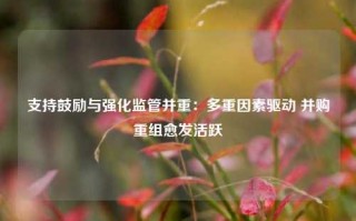 支持鼓励与强化监管并重：多重因素驱动 并购重组愈发活跃