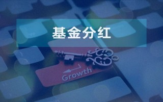 红利再投如何为复利增长提供“燃料”？