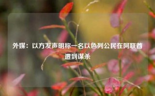 外媒：以方发声明称一名以色列公民在阿联酋遭到谋杀