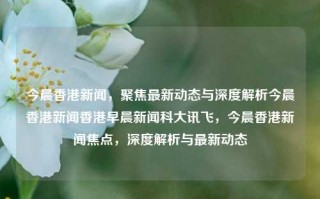 今晨香港新闻，聚焦最新动态与深度解析今晨香港新闻香港早晨新闻科大讯飞，今晨香港新闻焦点，深度解析与最新动态，今晨香港新闻焦点，深度解析与最新动态