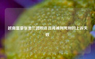 越南富豪张美兰因欺诈丑闻被判死刑的上诉失败