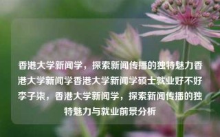 香港大学新闻学，探索新闻传播的独特魅力香港大学新闻学香港大学新闻学硕士就业好不好李子柒，香港大学新闻学，探索新闻传播的独特魅力与就业前景分析，香港大学新闻学，探索新闻传播的魅力与就业前景分析