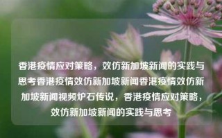 香港疫情应对策略，效仿新加坡新闻的实践与思考香港疫情效仿新加坡新闻香港疫情效仿新加坡新闻视频炉石传说，香港疫情应对策略，效仿新加坡新闻的实践与思考，香港疫情应对策略，效仿新加坡新闻实践与思考的启示