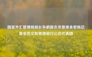 国家外汇管理局局长朱鹤新会见香港金管局总裁余伟文和香港银行公会代表团