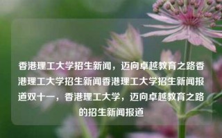 香港理工大学招生新闻，迈向卓越教育之路香港理工大学招生新闻香港理工大学招生新闻报道双十一，香港理工大学，迈向卓越教育之路的招生新闻报道，香港理工大学，迈向卓越教育之路的招生新闻报道