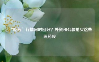 “吃药”行情何时回归？外资和公募抢买这些医药股