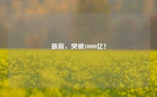 最新，突破10000亿！