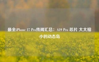 最全iPhone 17 Pro传闻汇总：A19 Pro 芯片 大大缩小的动态岛